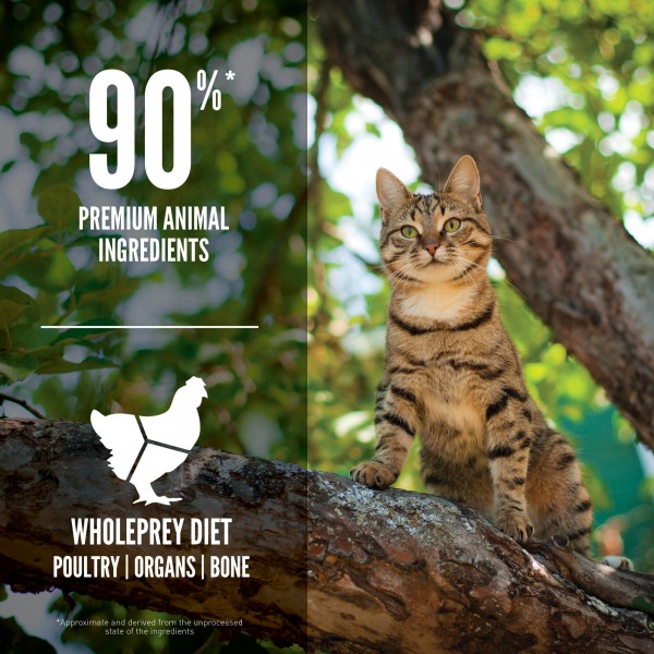 Orijen Cat Dry Food Guardian8 5.4kg