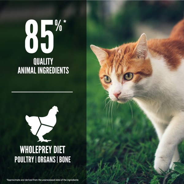 Orijen Cat Dry Food Fit & Trim 1.8kg