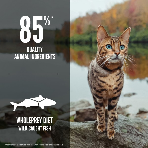 Orijen Cat Dry Food Six Fish 1.8kg