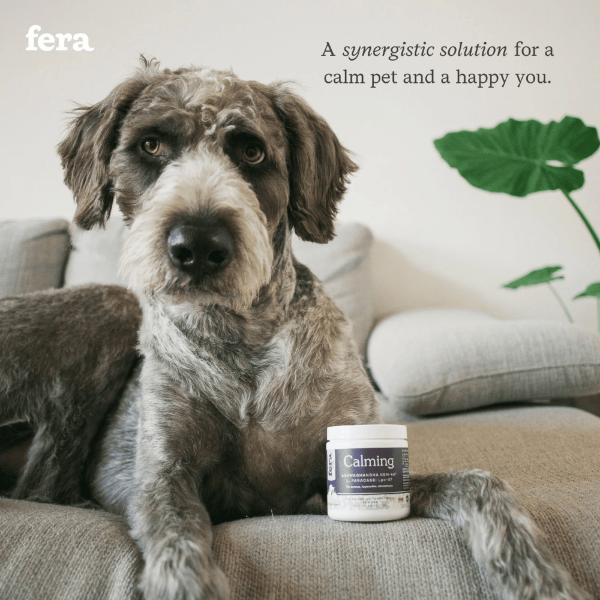 Fera Pet Organics Pet Supplement Calming Support 60 scoops