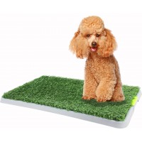 Pawise Green Trainer Tray Replacement Grass Mat