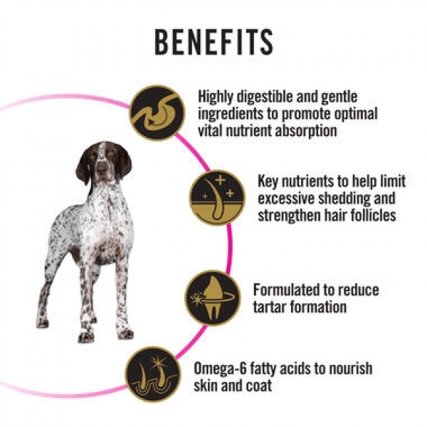 Purina Pro Plan Dog Dry Food Sensitive Skin & Stomach Med/Large Breed 12kg