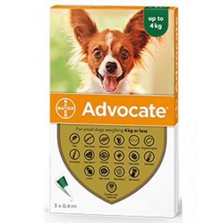 Advocate Flea and Worm Treatment for Small Dogs Up To 4kg