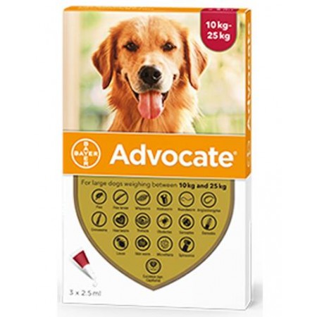 Advocate Flea and Worm Treatment for Large Dogs 10kg - 25kg