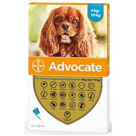 Advocate Flea and Worm Treatment for Medium Dogs 4kg - 10kg