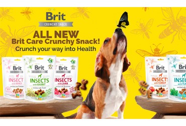 Insect-based Pet Food Is The Future: Introducing Brit Care Crunchy Cracker Series
