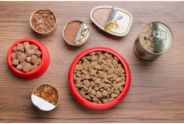 The Ultimate Guide To Wet Versus Dry Dog Food