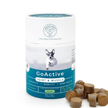 Blue Pet Dog Supplement GoActive Joint & Muscle Peanut 270g