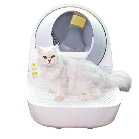 Catlink Cat Automatic Litter Box Young Scooper with Stairway