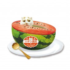 Cattyman Cool Watermelon Fruit Shape Bed