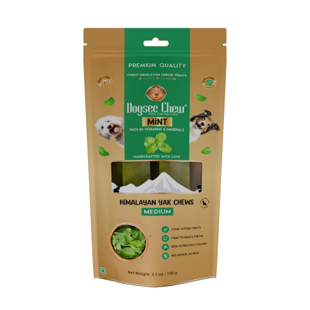 Dogsee Chew Mint Bar Medium 100g