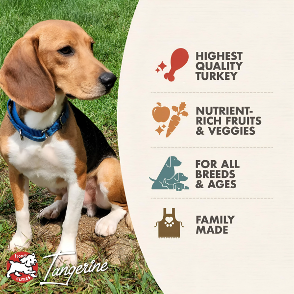 Fromm Dog Grain-Free Game Bird Recipe 4lbs