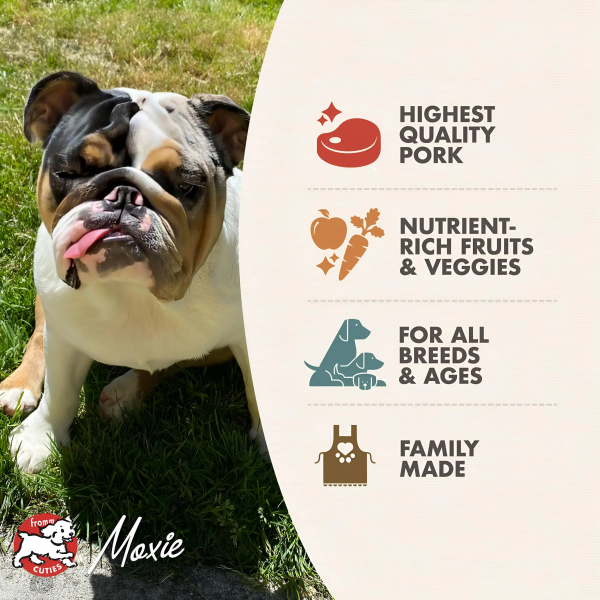 Fromm Dog Grain-Free Pork & Peas Recipe 26lbs