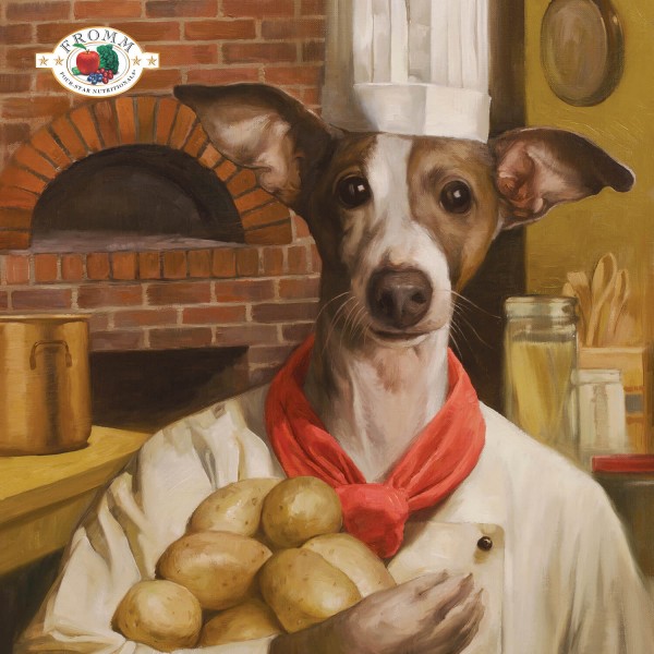 Fromm Dog Dry Food Pork & Applesauce Recipe 4lbs