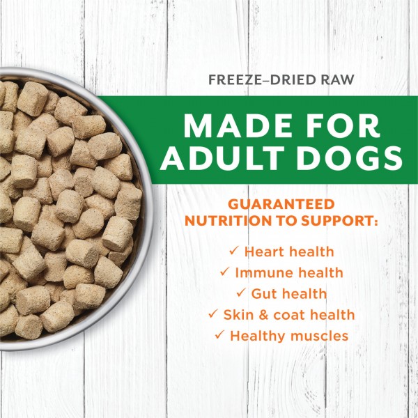 Instinct Dog Food Raw Longevity Freeze Dried Raw Meals Grass-Fed Lamb Recipe 9.5oz