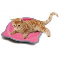 Marukan Cat Scratching Tray Nail Sharpener Pot