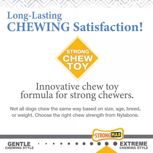 Nylabone Dog Chew Toy Strong Wishbone for Puppy Regular