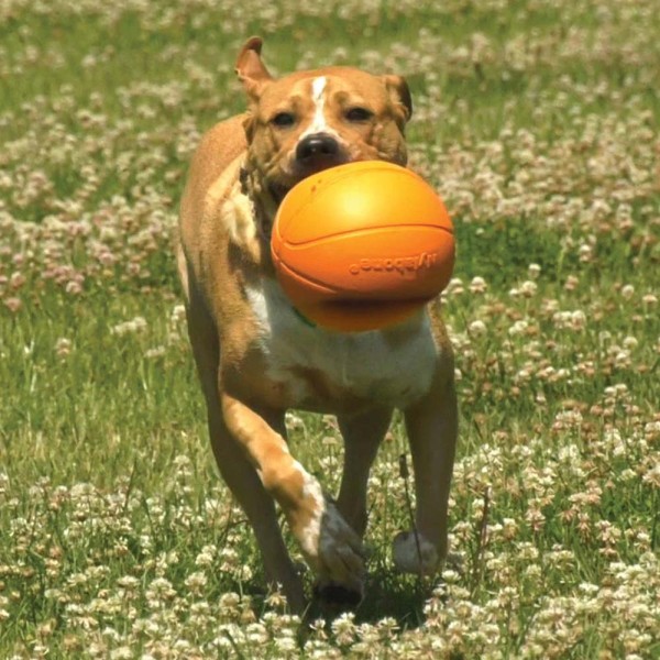 Nylabone Dog Toy Power Play Gripz Basketball Medium