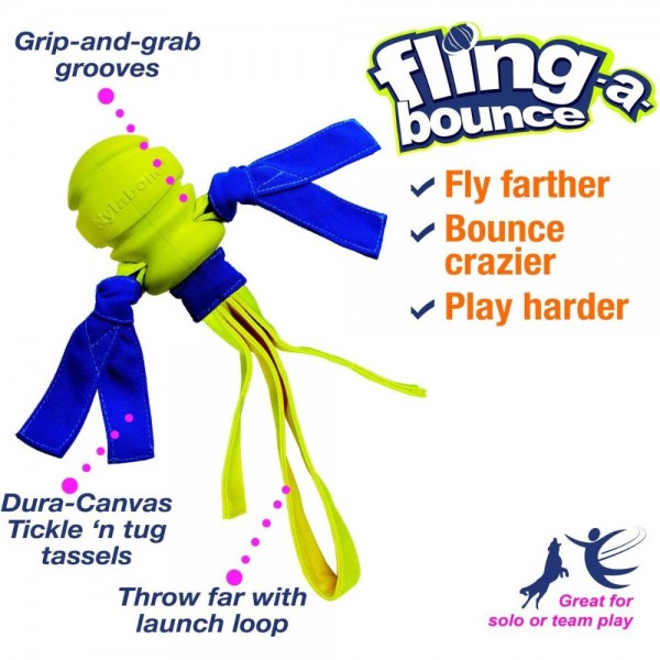 Nylabone Dog Toy Power Play Fling-a-Bounce