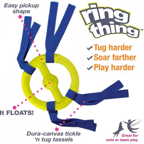 Nylabone Dog Toy Power Play Ring Thing Floatable