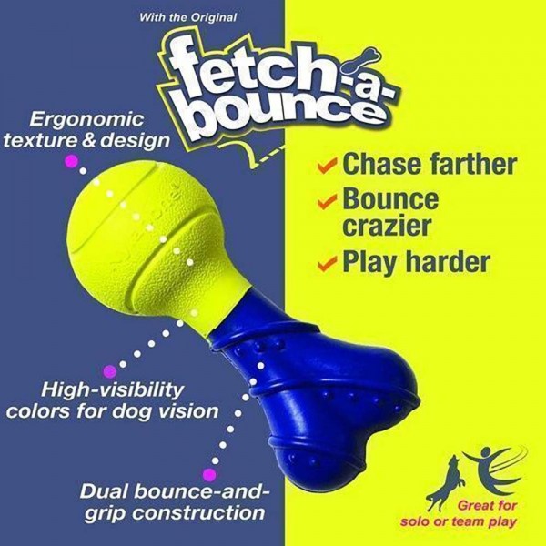 Nylabone Dog Toy Power Play Fetch-a-Bounce Rubber