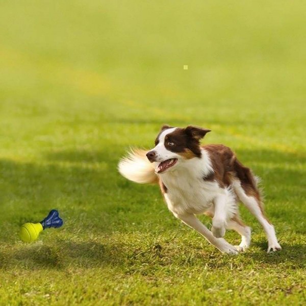 Nylabone Dog Toy Power Play Fetch-a-Bounce Rubber