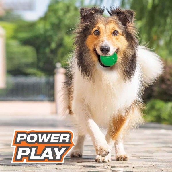 Nylabone Dog Toy Power Play Gum-a-Ball