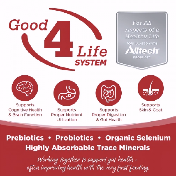 Nutri Source Dog Canned Food Pure Vita Beef Entree 348g