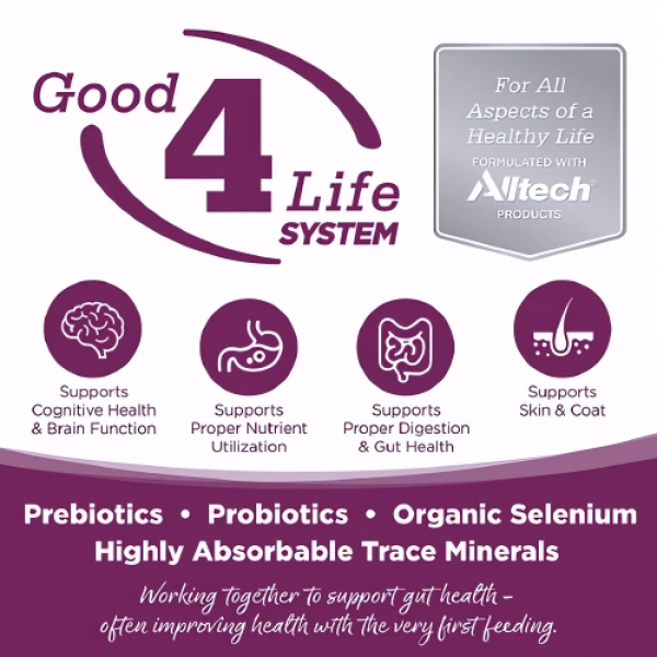 Nutri Source Dog Canned Food Pure Vita Pork Entree 348g