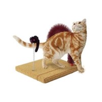 Nyanta Club Cat Scratcher With Massage Brush
