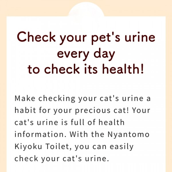 NyanTomo Clean Toilet Open Set Beige