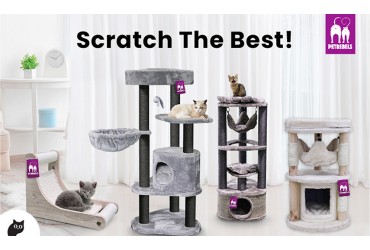 Petrebels, Trendy Cat Furniture That Will Rock Any Home