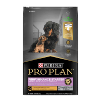 Purina Pro Plan Puppy Starter Chicken 12kg