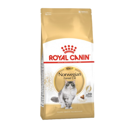 Royal Canin Cat Dry Food Breed Nutrition Norwegian Forest 2kg