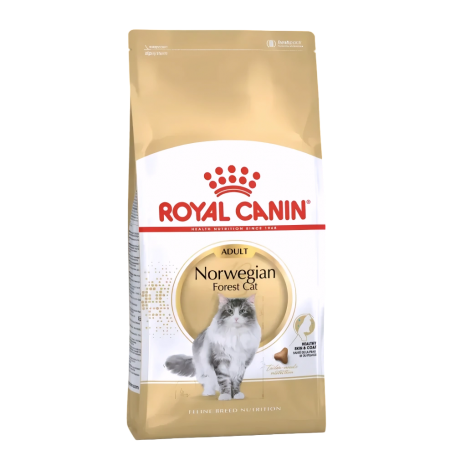 Royal Canin Cat Dry Food Norwegian Forest 2kg