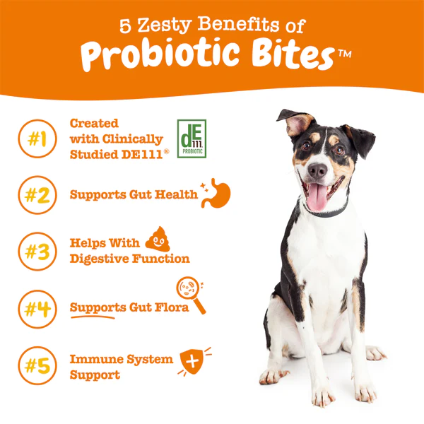 Zesty Paws Dog Probiotic Bites Gut Health Pumpkin 360g