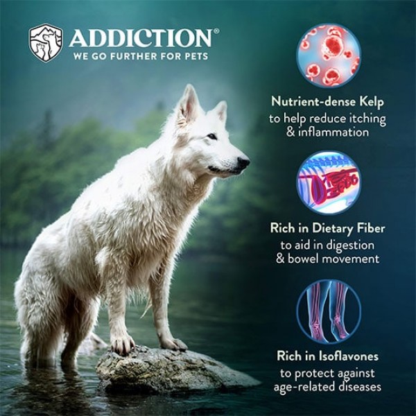 Addiction Dog Food Zen Vegetarian Sensitive Care 20lbs