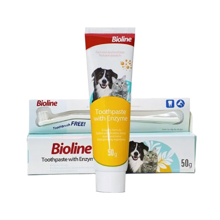 Bioline Dental Care Set w/Enzyme for Cats & Dogs 50g