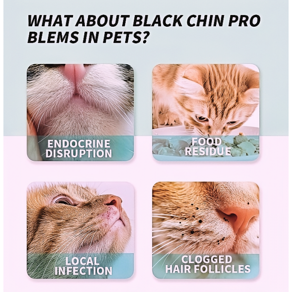 Rubeku  Wipes Chin Blackhead (50 sheets) x 2 boxes