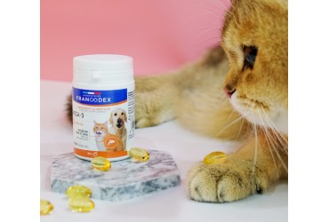 The supplement you need to boost your pet’s health: Francodex Omega-3 