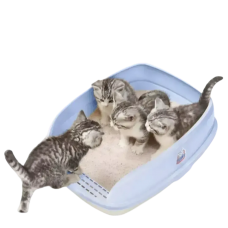 Catidea Cat Litter Box Bread Bin Small Blue