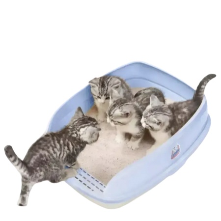 Catidea Cat Litter Box Bread Bin Small Blue