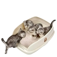 Catidea Cat Litter Box Bread Bin Small Cream
