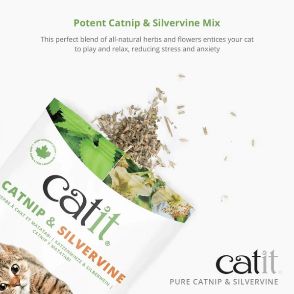 Catit Cat Catnip & Slivervine Mix 28.3g