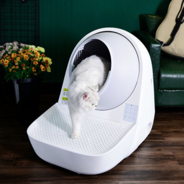 Catlink Cat Automatic Litter Box Young Scooper Stairway