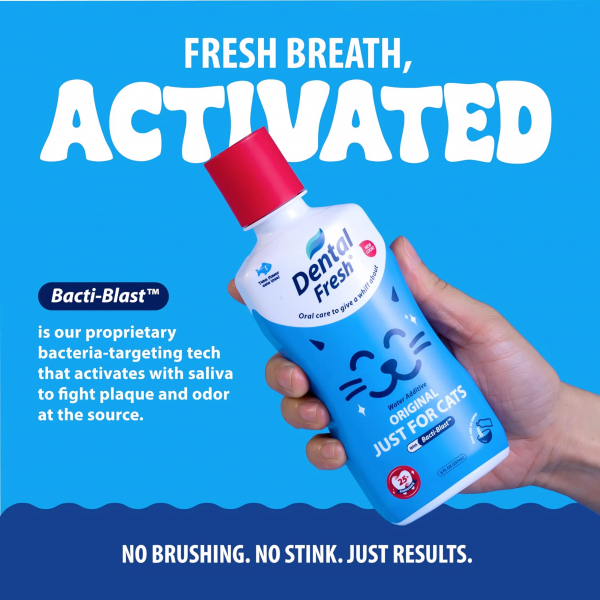 Dental Fresh Water Additive Original Formula for Cats 8oz