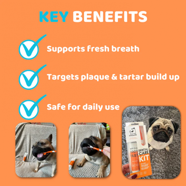 Dogslife Dental Care Kit 100g