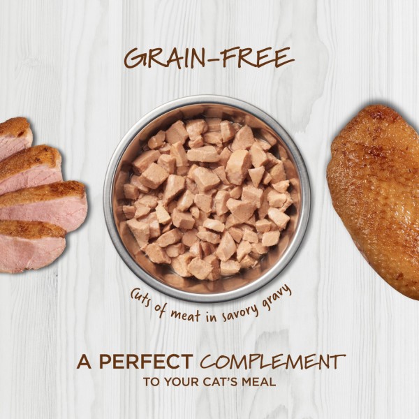 Instinct Healthy Cravings Grain-Free Real Duck Recipe in Savory Gravy Cat Wet Food Topper 3oz (6 Packs)