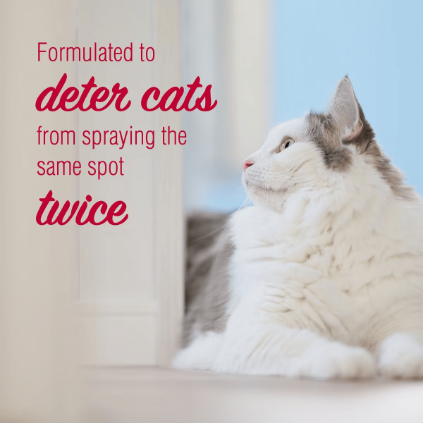 Nature's Miracle Cat Training Spray No More Spraying 24oz