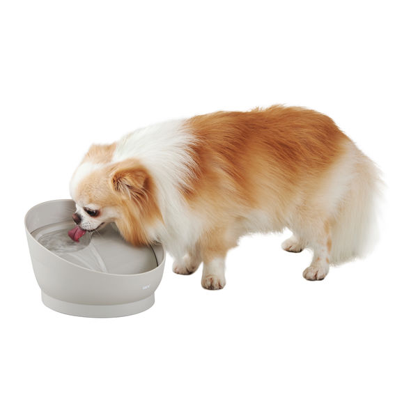 Gex Dog Water Fountain Pure Crystal Muty Moon Gray 0.95L